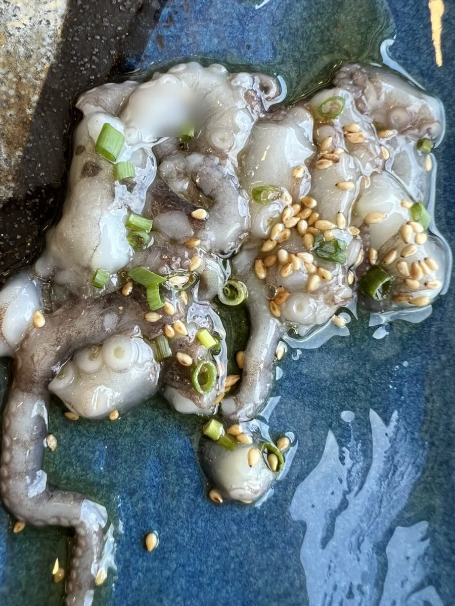 Live octopus served with sesame oil