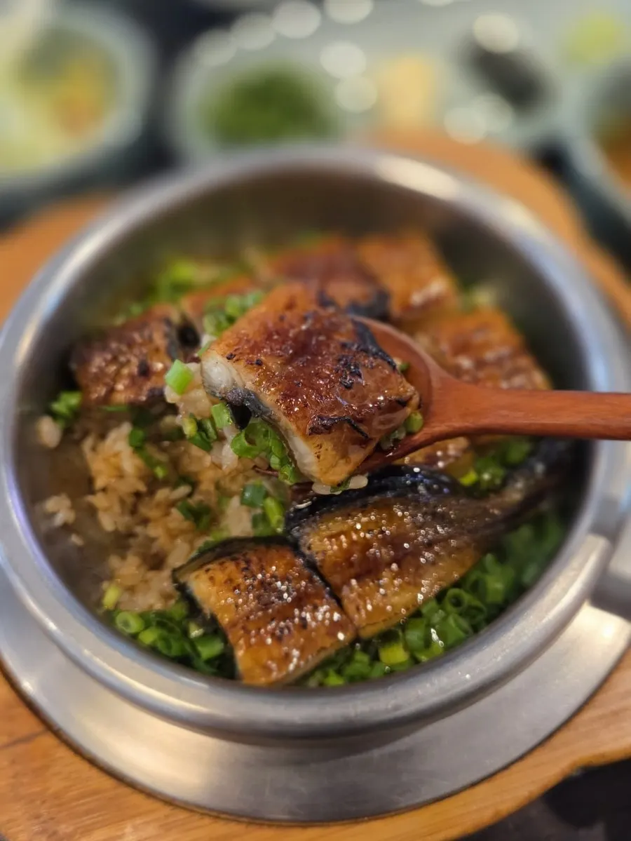 Close-up of glossy freshwater eel pot rice
