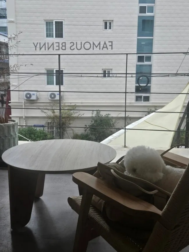 Self-service area inside the café