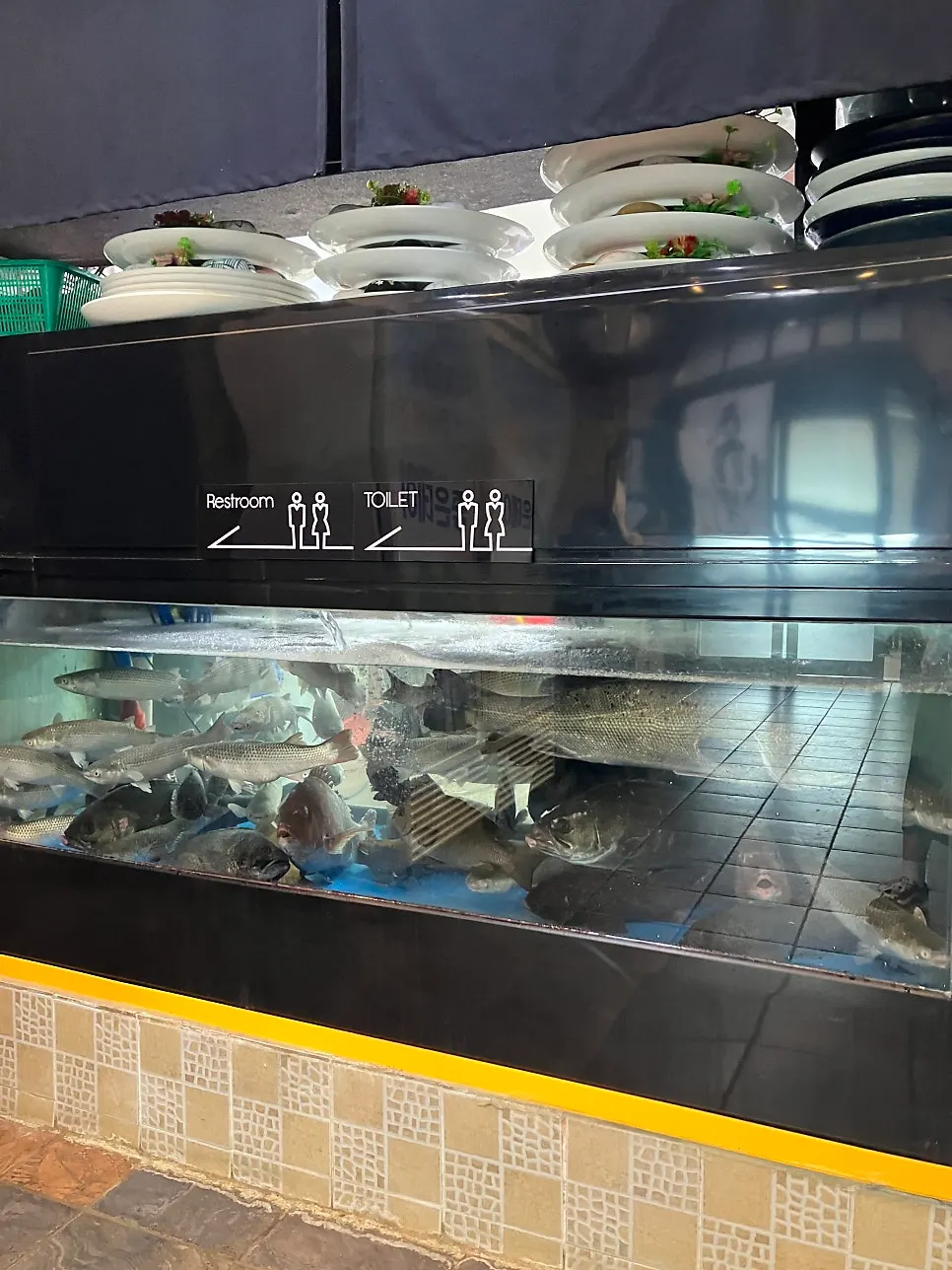 주방 앞 활어가 가득한 수족관