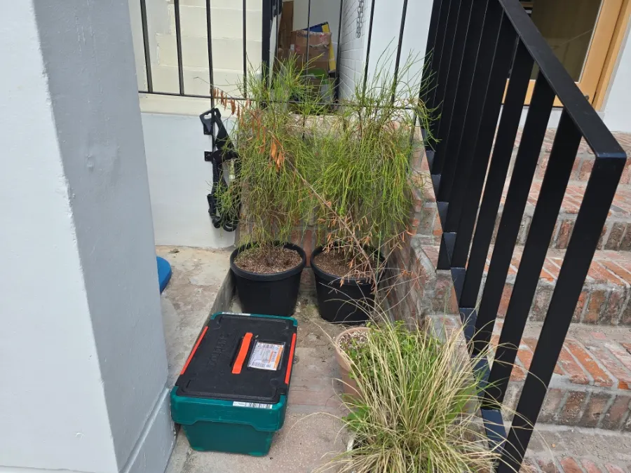 Landscaping at the Extra Mile entrance