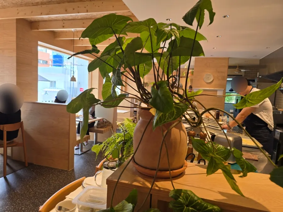 Pizza-baking space with greenery in view