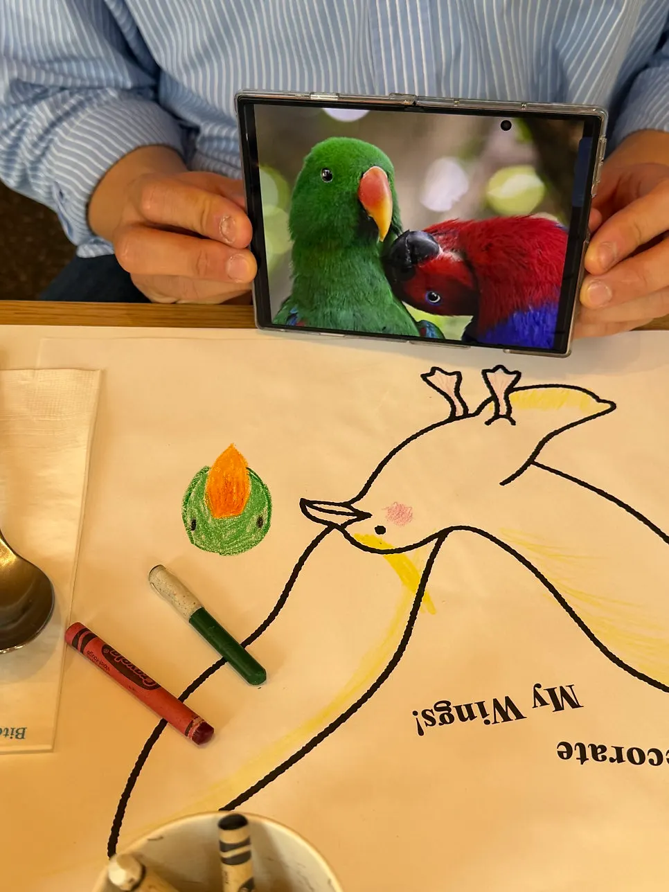 Bird and pizza drawings colored in with crayons