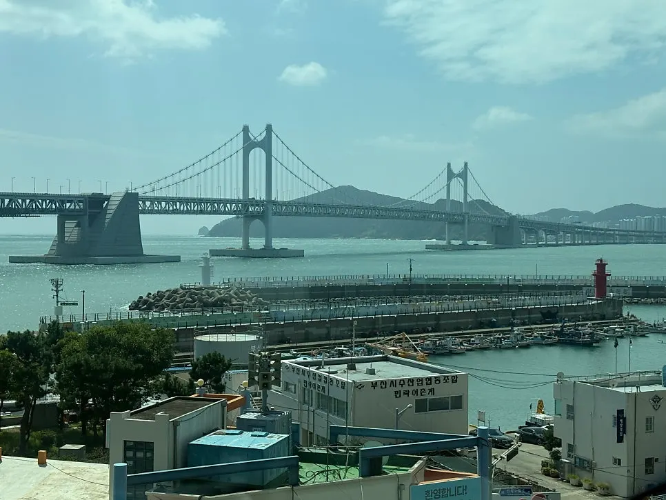크림소스 생선과 옥수수튀김 반찬