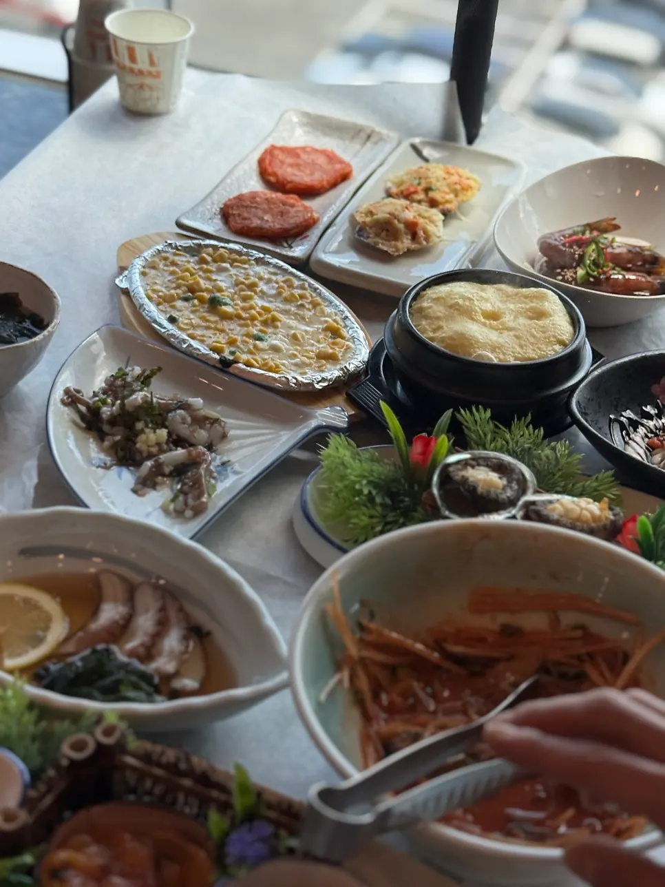 Wild assorted sashimi served as the main dish