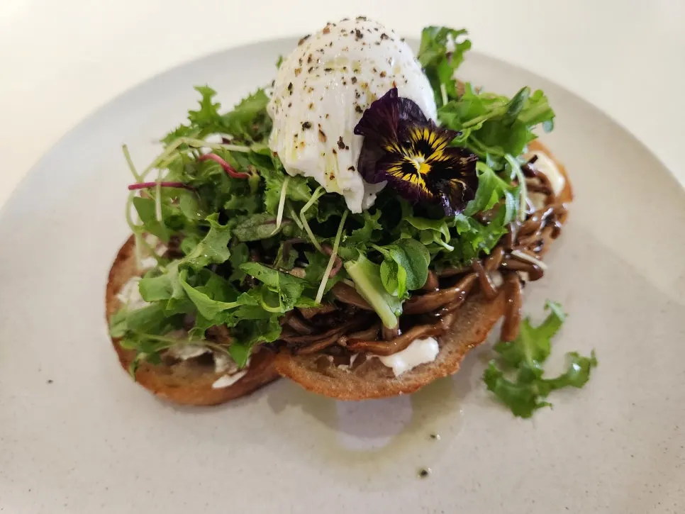 A plate of grilled mushroom toast