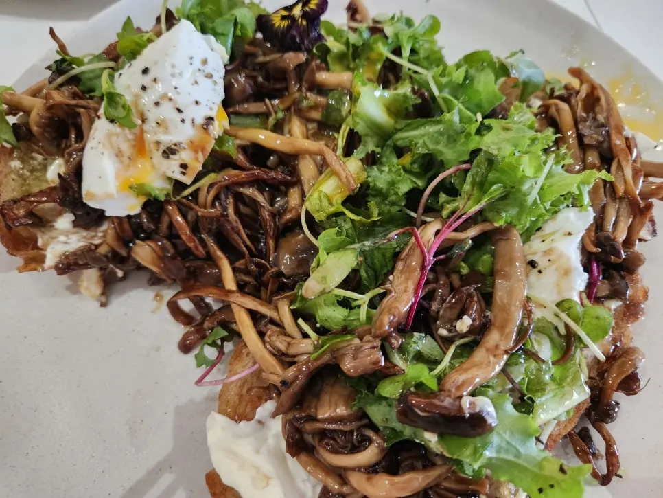 Close-up of toast topped with mushrooms