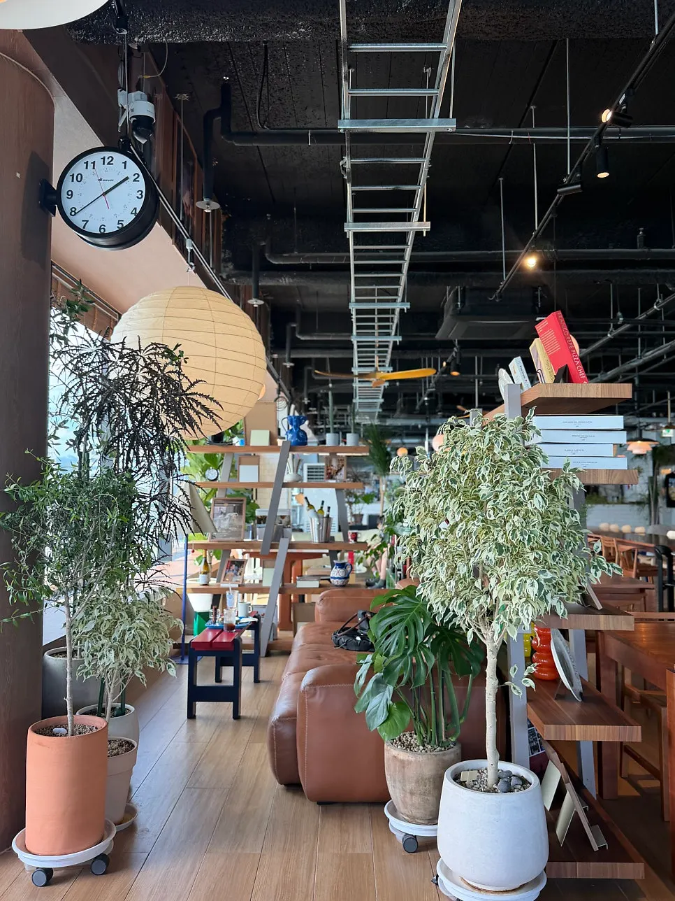 Bright Working Holiday Minrak interior on a beautiful day