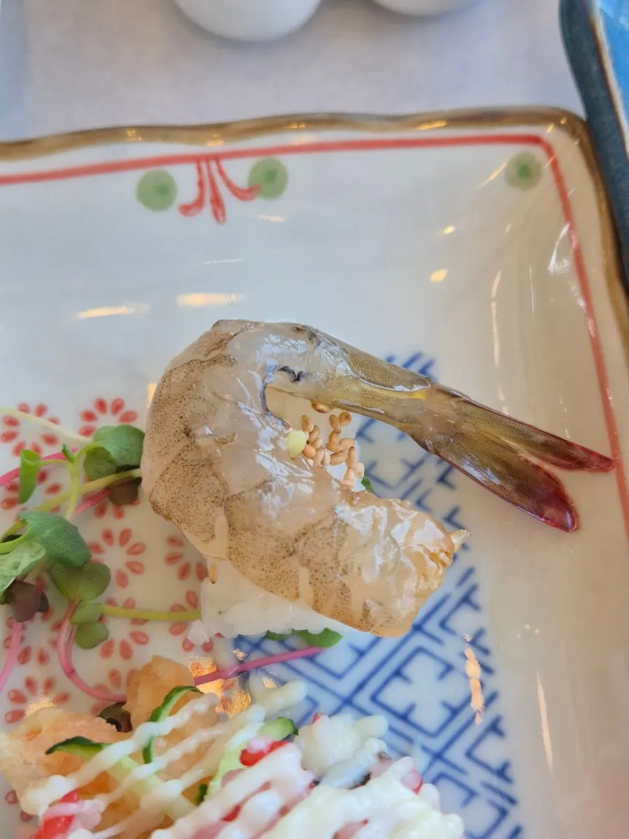Close-up of raw shrimp sashimi