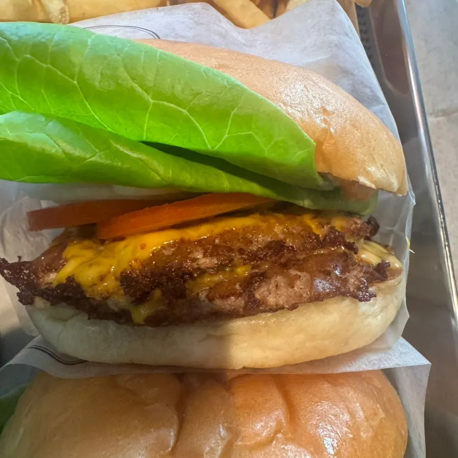 Fillings visible inside the Double Base Burger