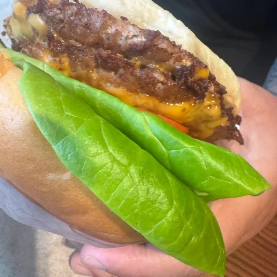 Cross-section of the Double Base Burger patties