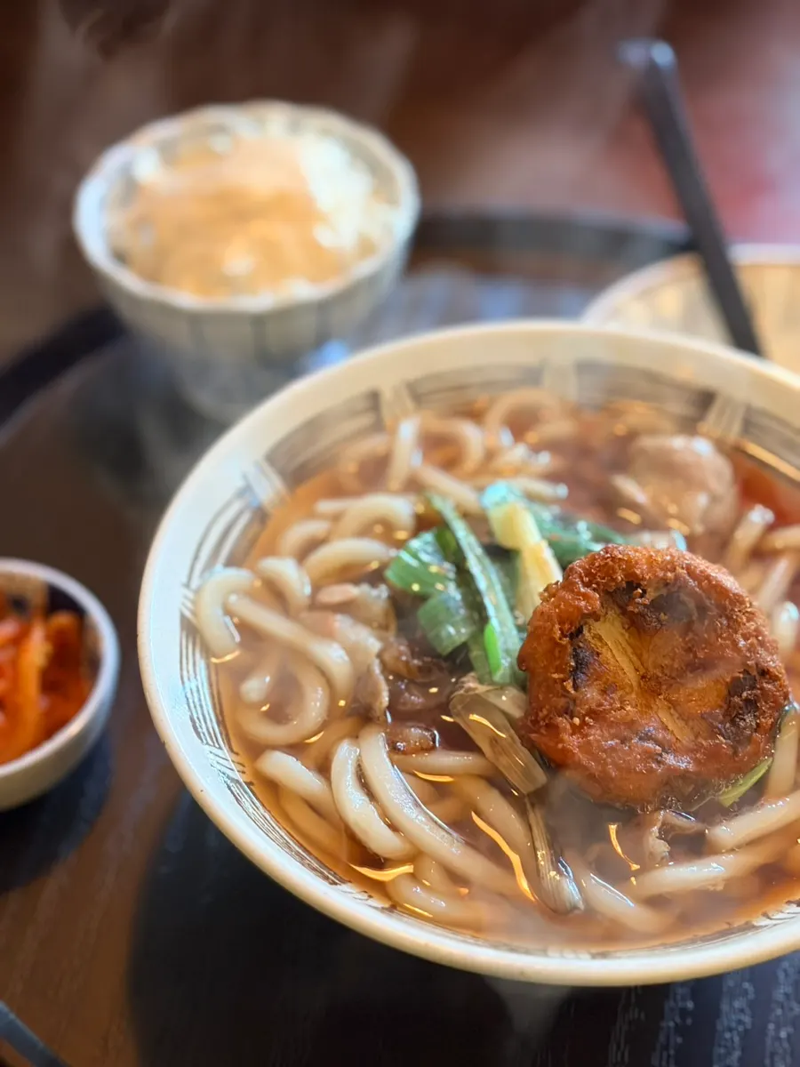 Table spread of ordered stekki-donburi and udon