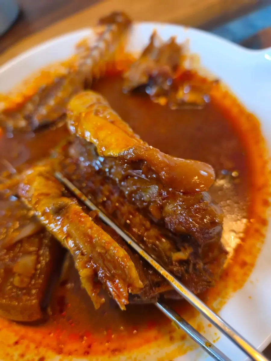 A piece of braised kodari served over rice
