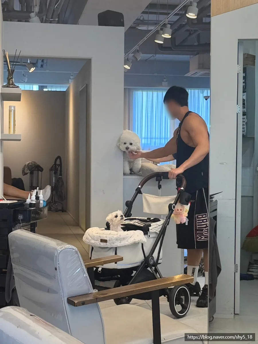 유월애미장원 시술 가격표