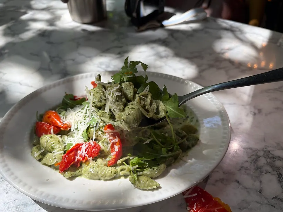 A forkful of conchiglie pasta lifted up