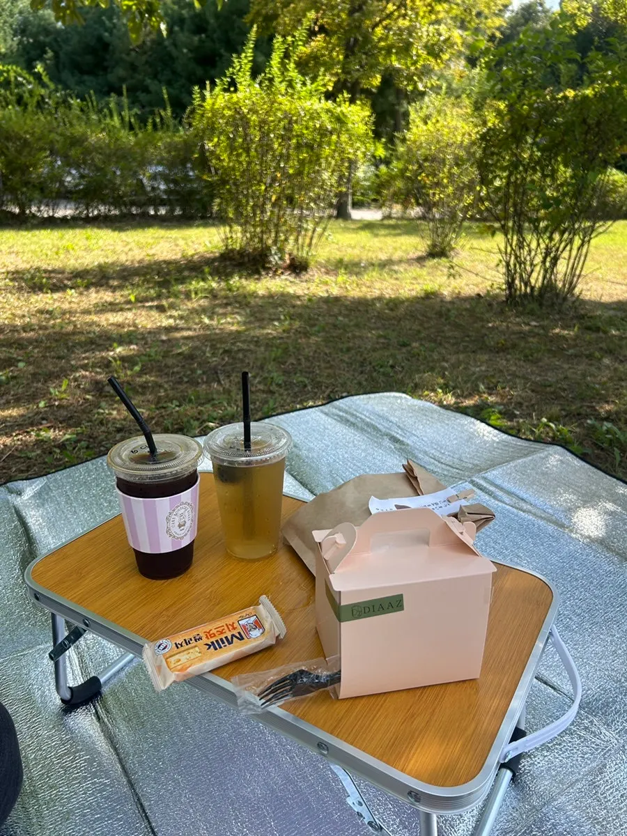 Fruit slice cake picnic at Gwanggyo Lake Park with cake from Café Diaz Galleria Gwanggyo