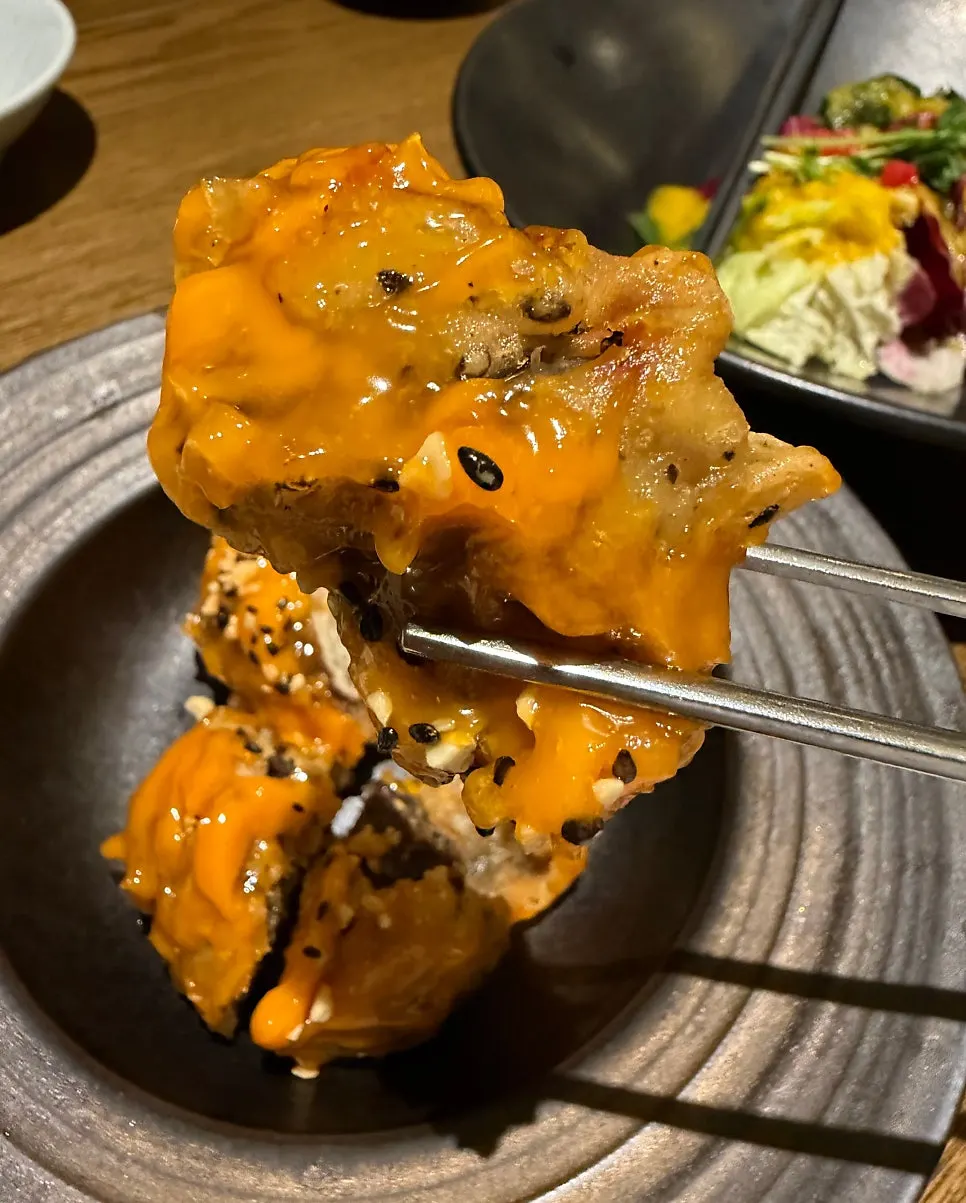 Crispy fried meat patties