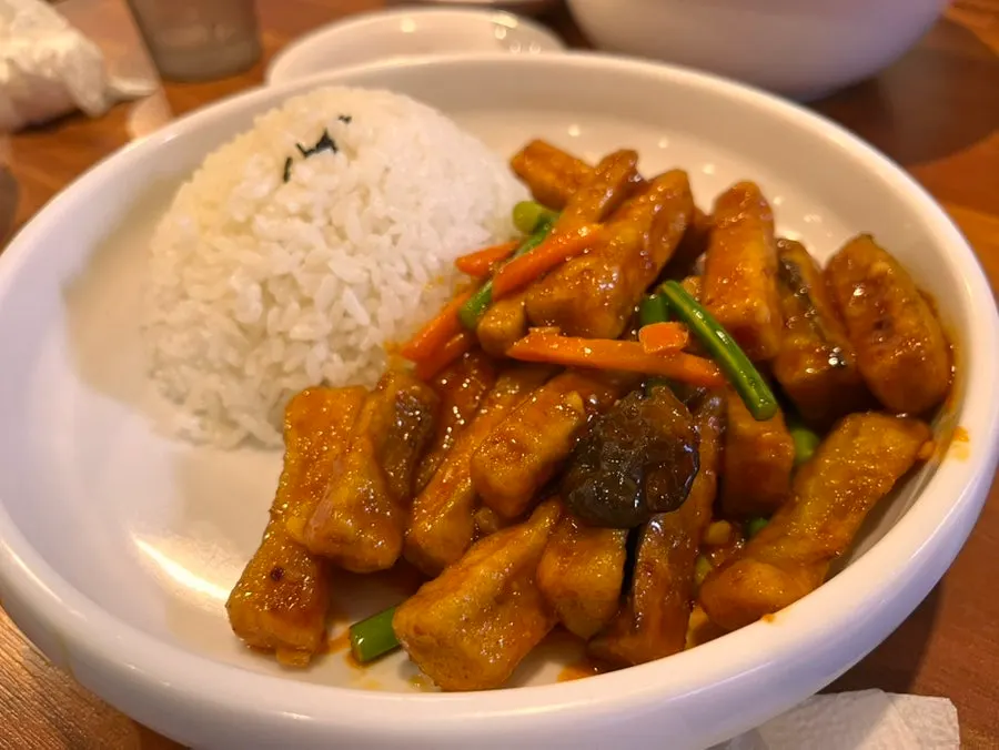 辣甜可口的鱼香茄子盖饭