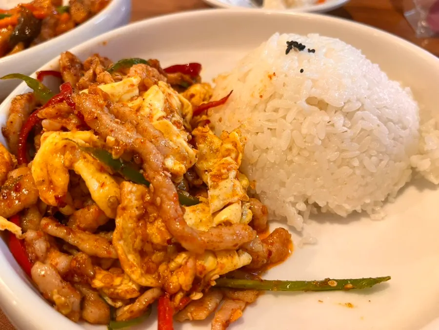 带炭火香的辛辣老虎炒饭盖饭