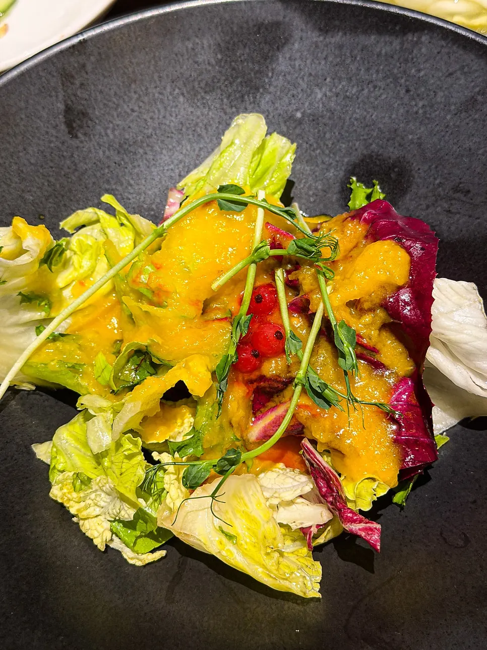 Yuzu salad at Modam Dining