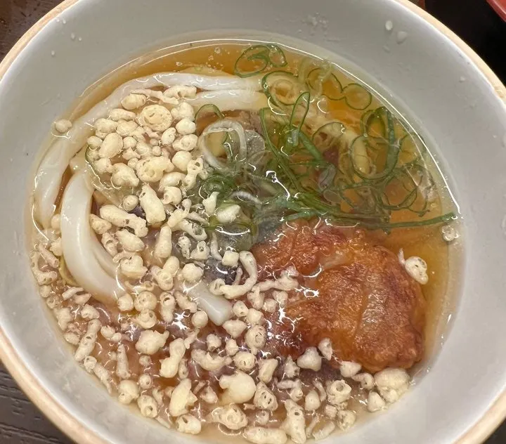 Futomaki and dessert udon