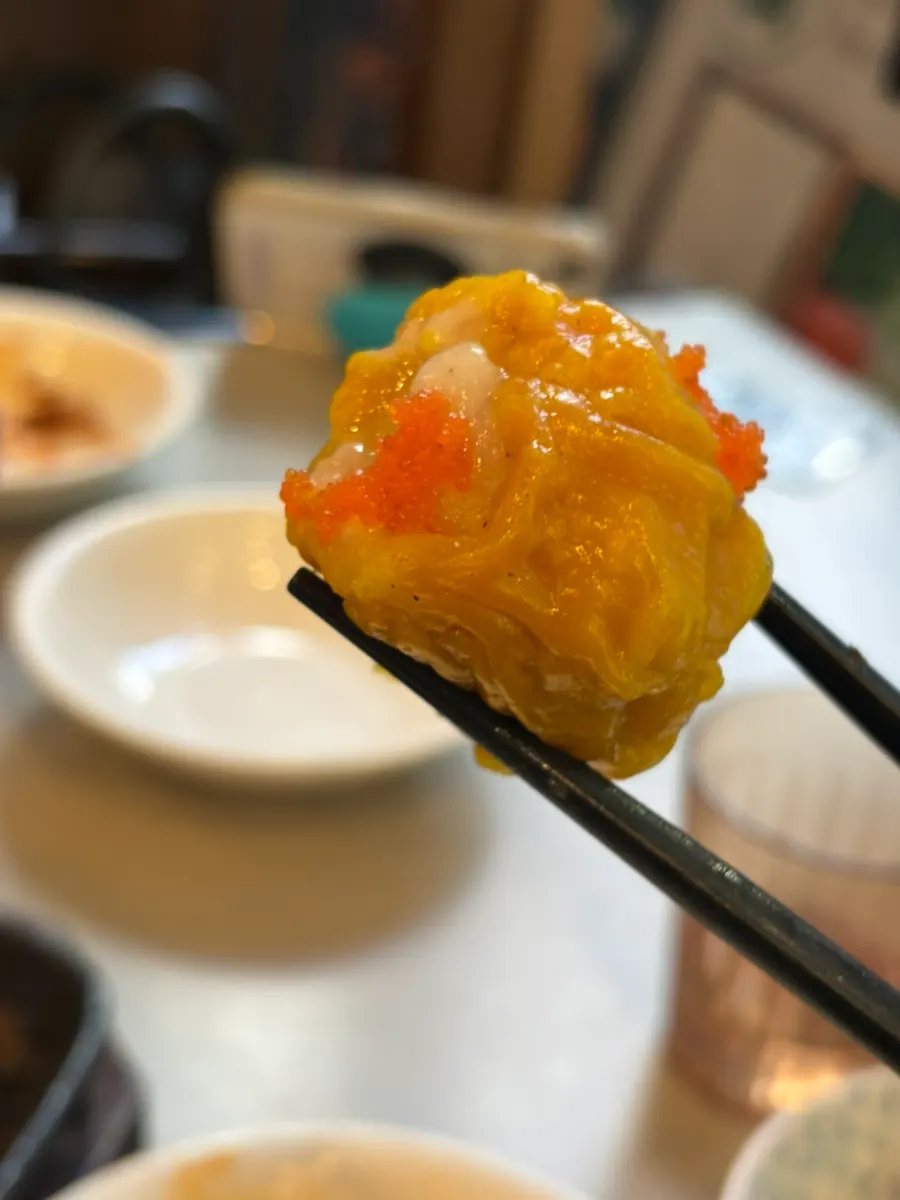 도삭면과 덮밥, 쇼마이가 함께 놓인 테이블
