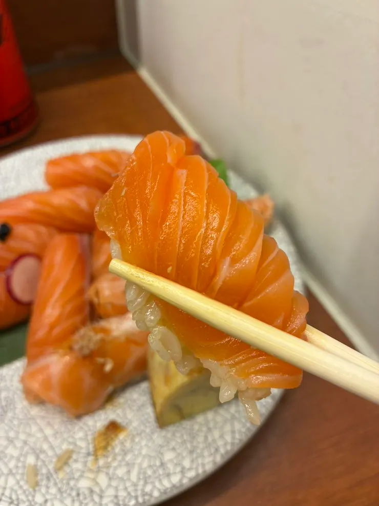 Sushi pieces arranged on the salmon sushi set plate