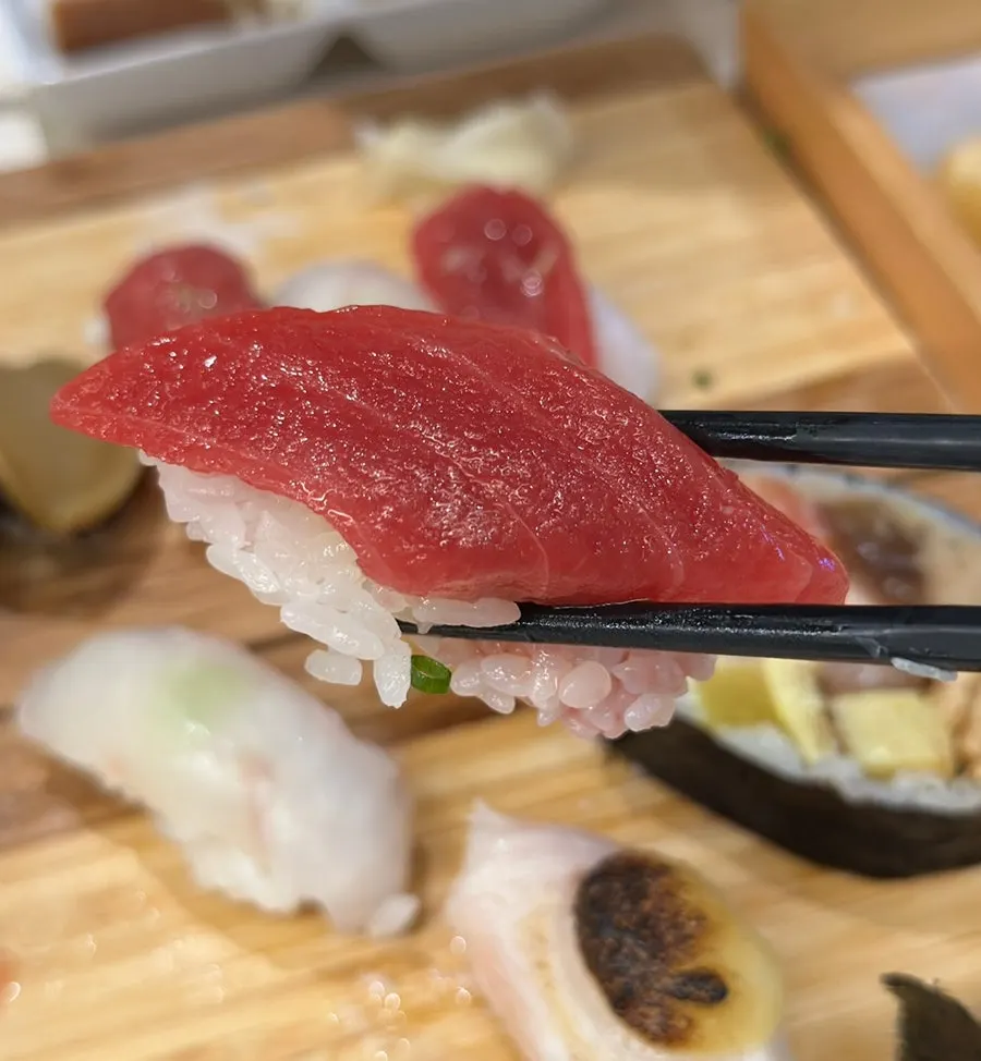 Types of sushi in the Elephant B set