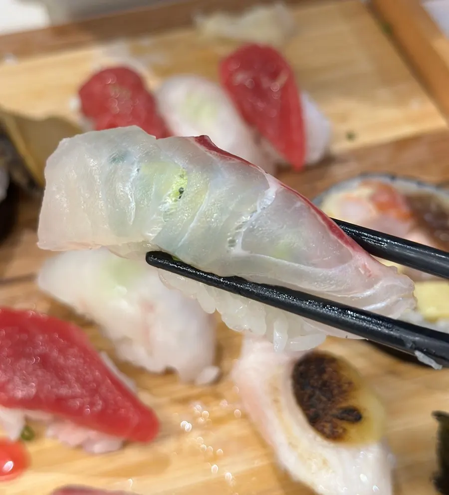 One piece of sushi from the Elephant B set