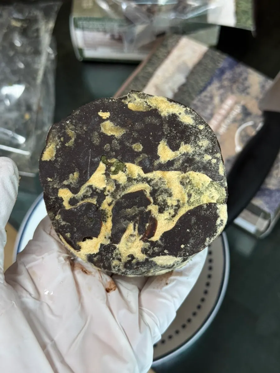 A chilled mugwort choco pie