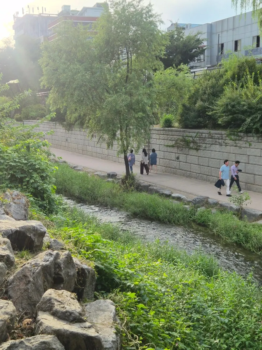 쇼핑백에 담긴 쑥스초코파이 선물세트