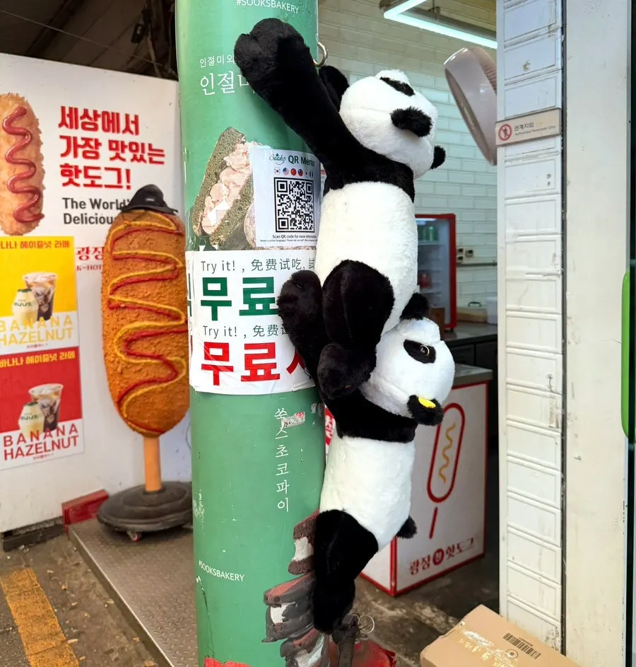 초록색 기둥에 매달린 팬더 인형