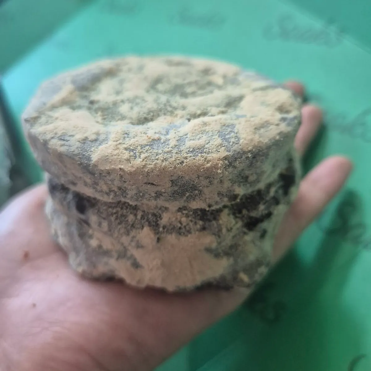 Palm-sized chocolate-coated mugwort choco pie