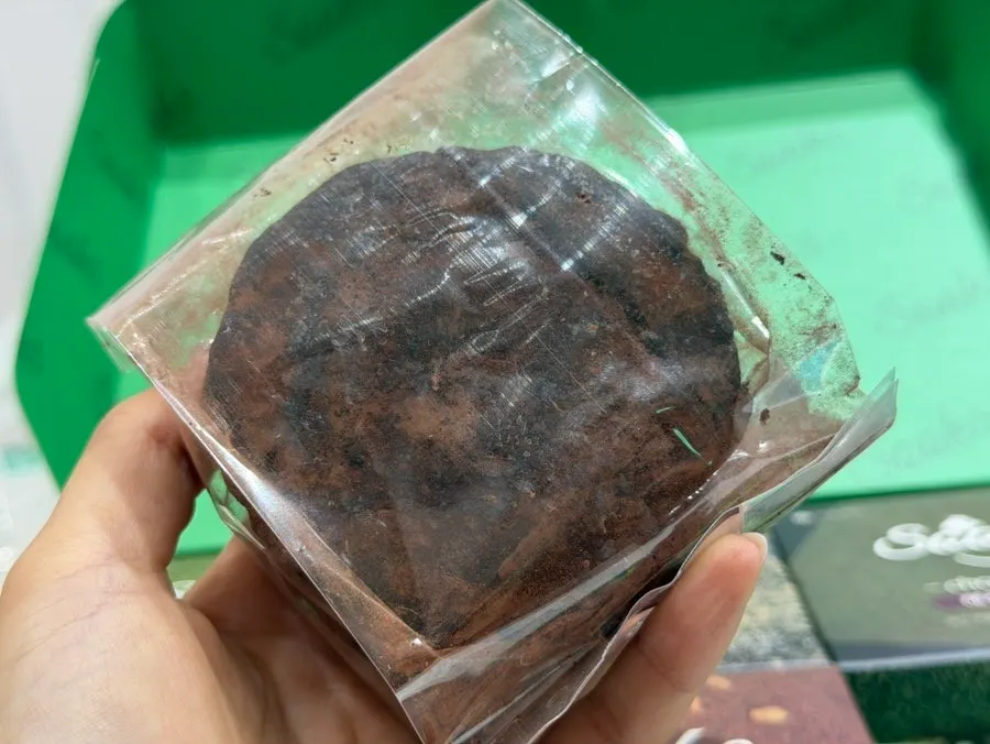 Gwangju Real Choco choco pie dusted with cacao powder