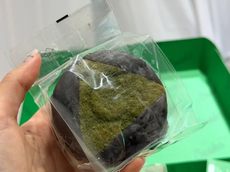 Sea-Wind Mugwort Injeolmi choco pie