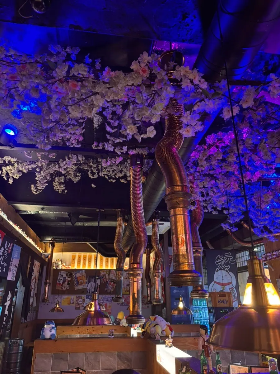 仕切りのある店内座席
