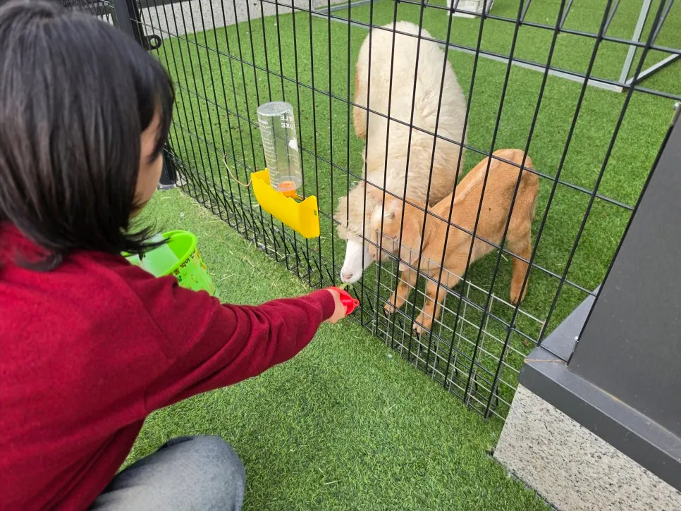 Exterior of Hamjjirang Tojjirang animal experience café in Gwangju, Gyeonggi