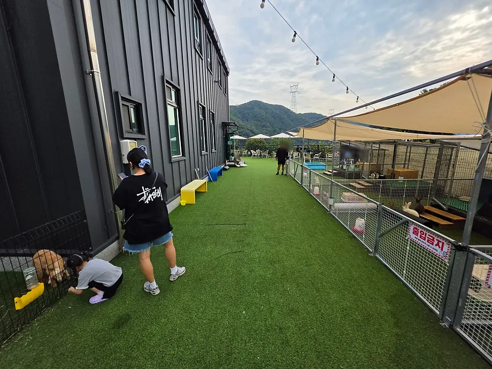 Animal feeding activity area