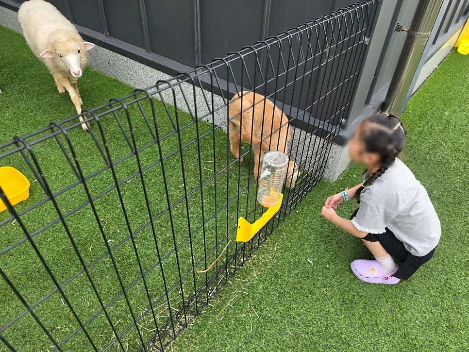 Outdoor animal experience area in Gwangju, Gyeonggi