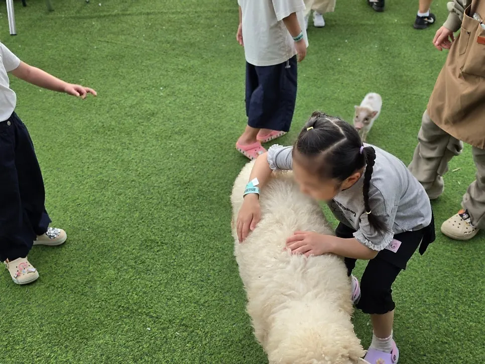 Interacting with animals during the feeding activity
