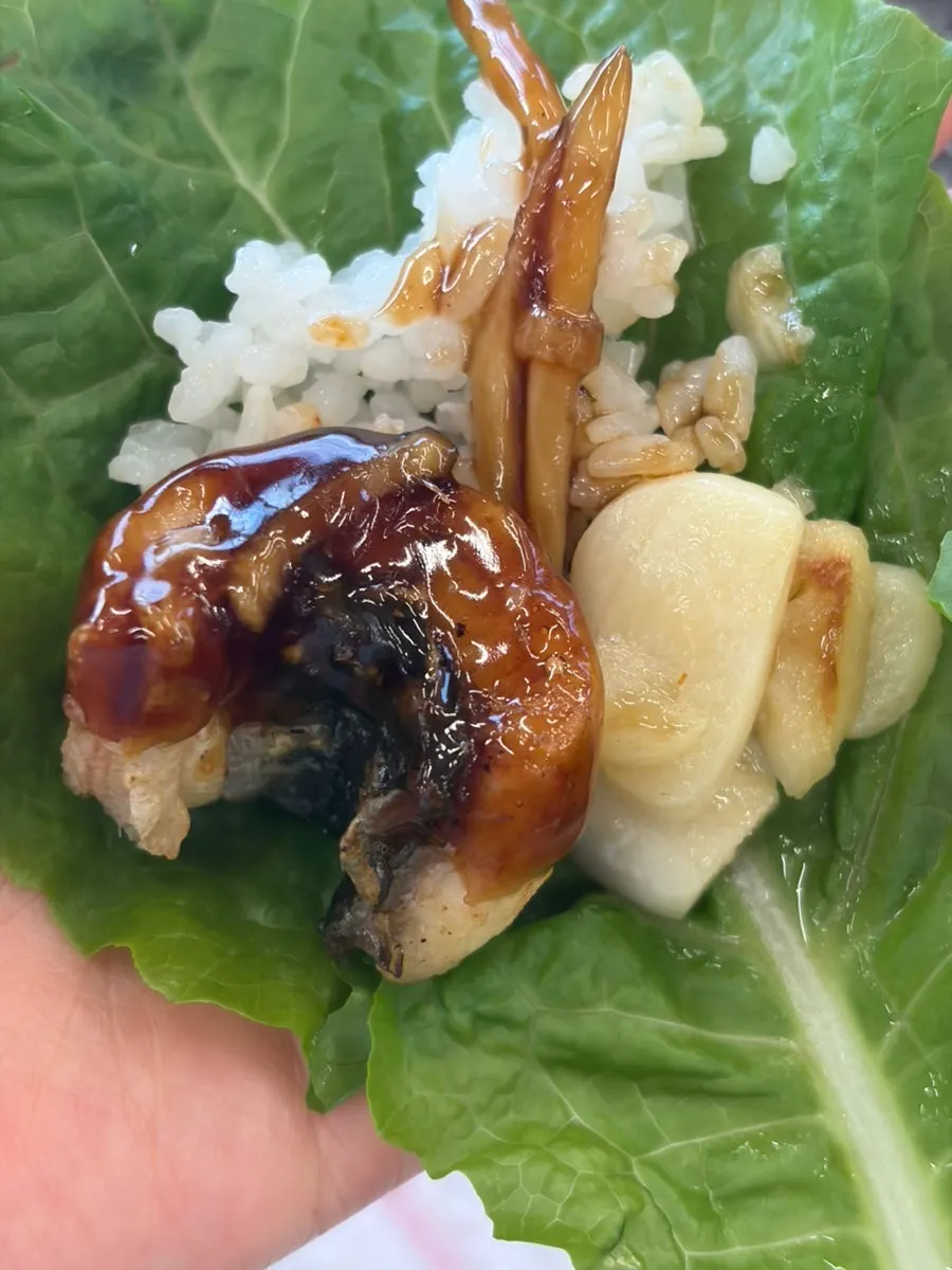 A piece of eel dipped in teriyaki sauce