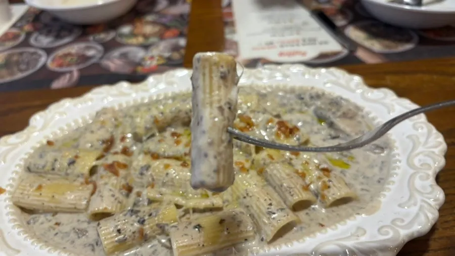 Pasta noodles coated in cream sauce