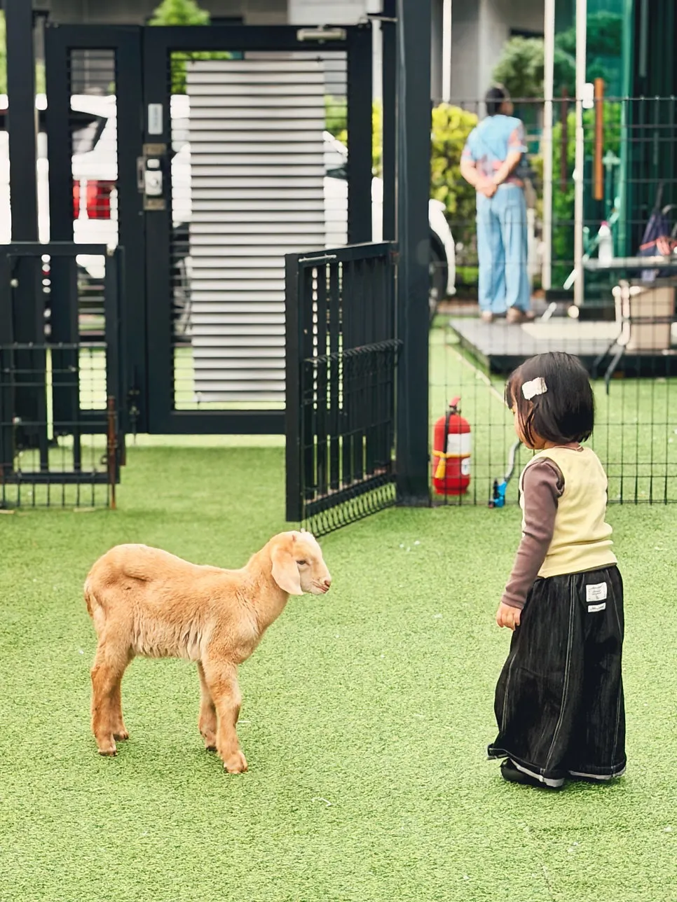 A child approaching an animal carefully