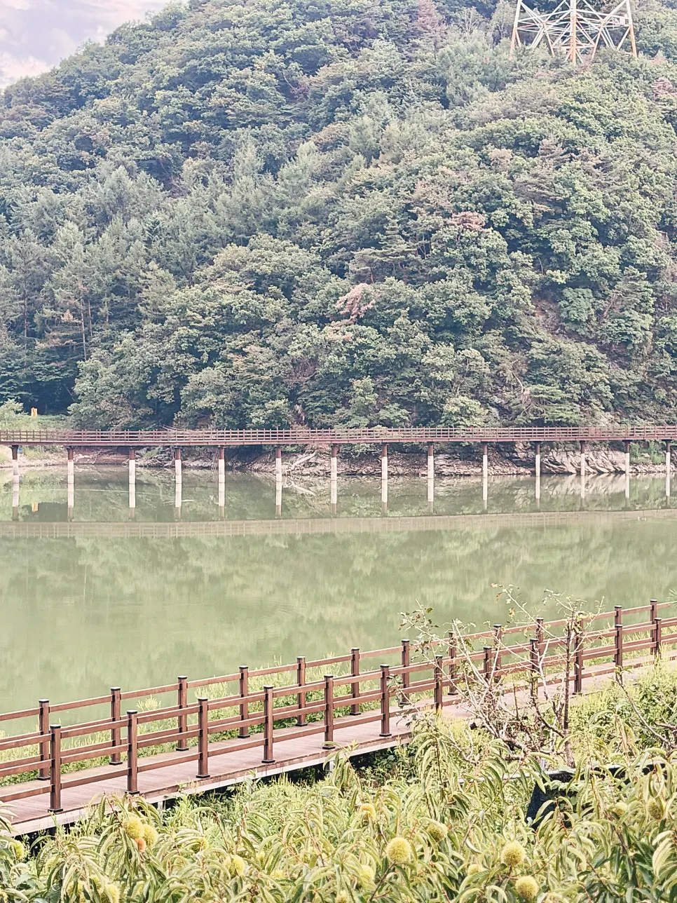 View of Docheok Reservoir spreading out in front of the café