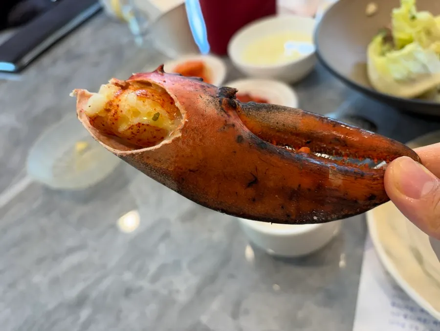 Dipping lobster into the accompanying sauce