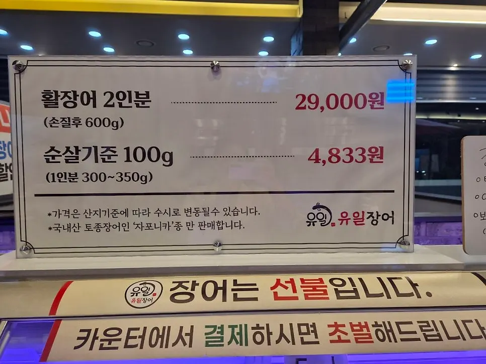 쇼케이스 위 장어 가격과 이용 방법 안내