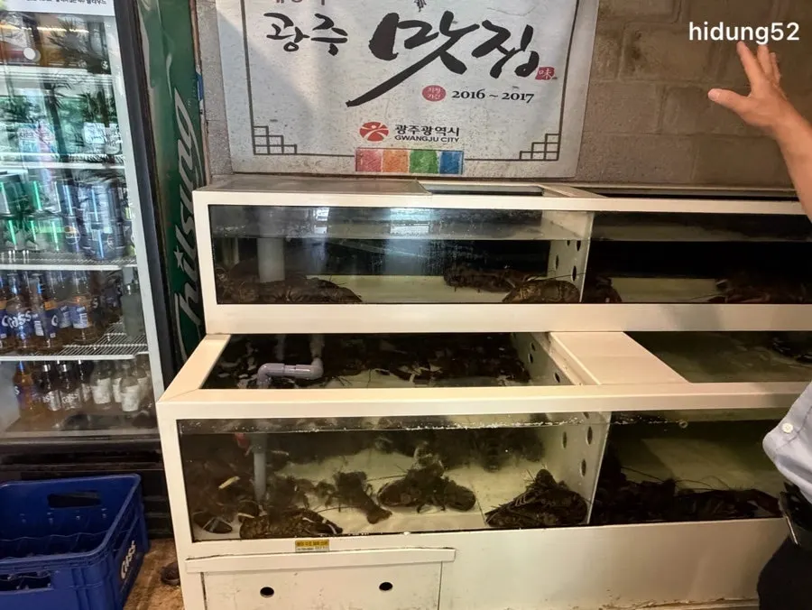 탐스바닷가재 랍스터 수족관