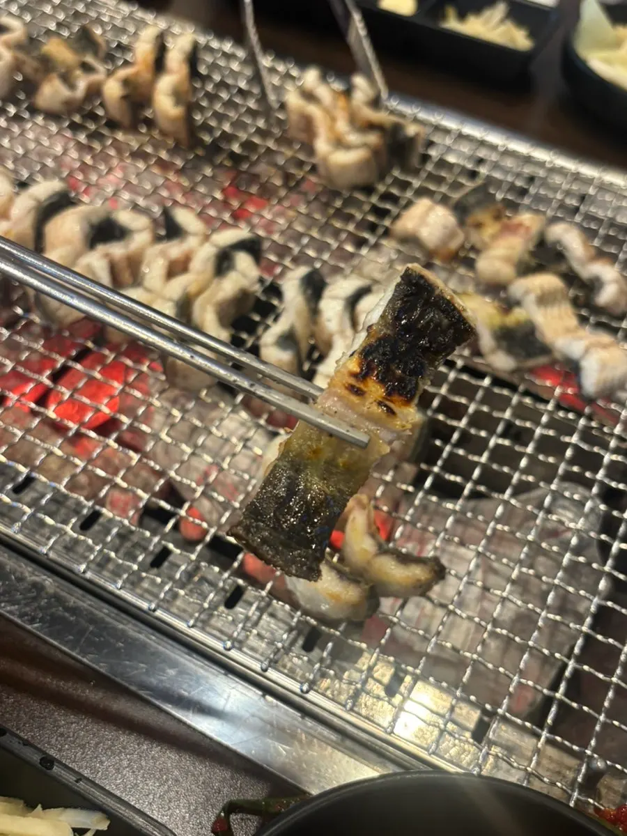 Plump par-grilled eel