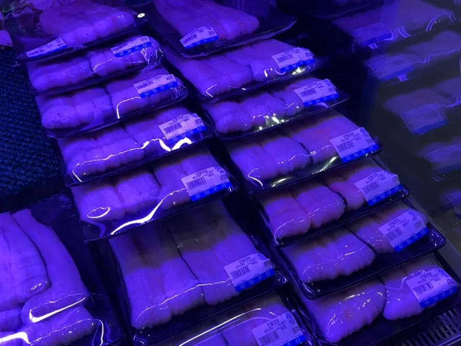 Live eel tank at the Yuil Jangeo seafood counter