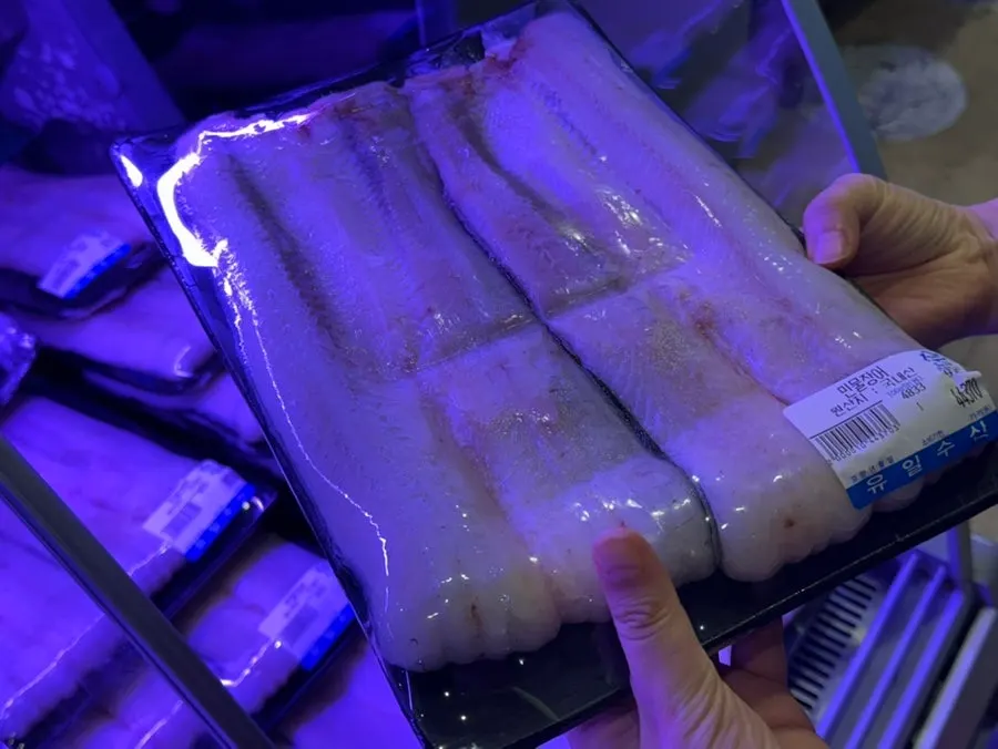 Plump freshwater live eel picked out by hand